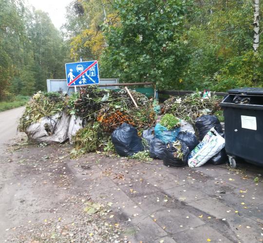 Informacija apie žaliųjų atliekų tvarkymą